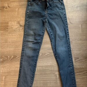 American Eagle Outfitters Dark Blue Skinny Jeans